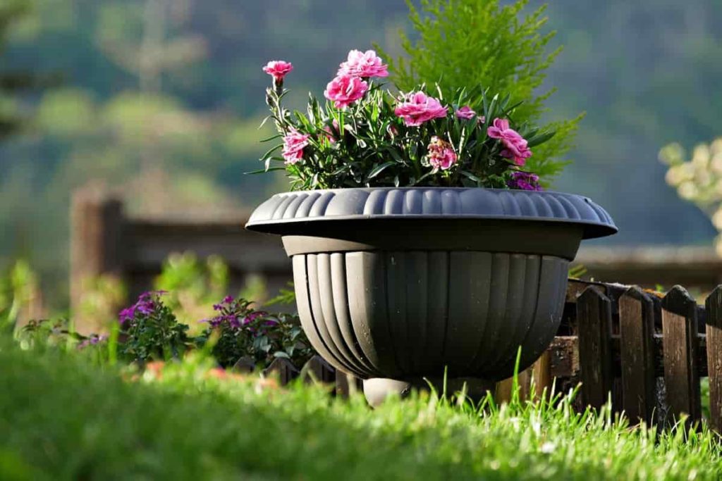 Plastic Pot Gardening