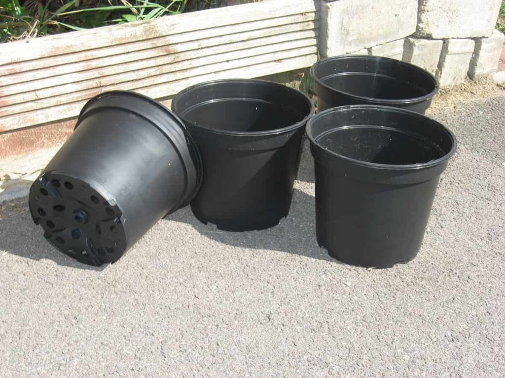 Select an ideal container for your plants