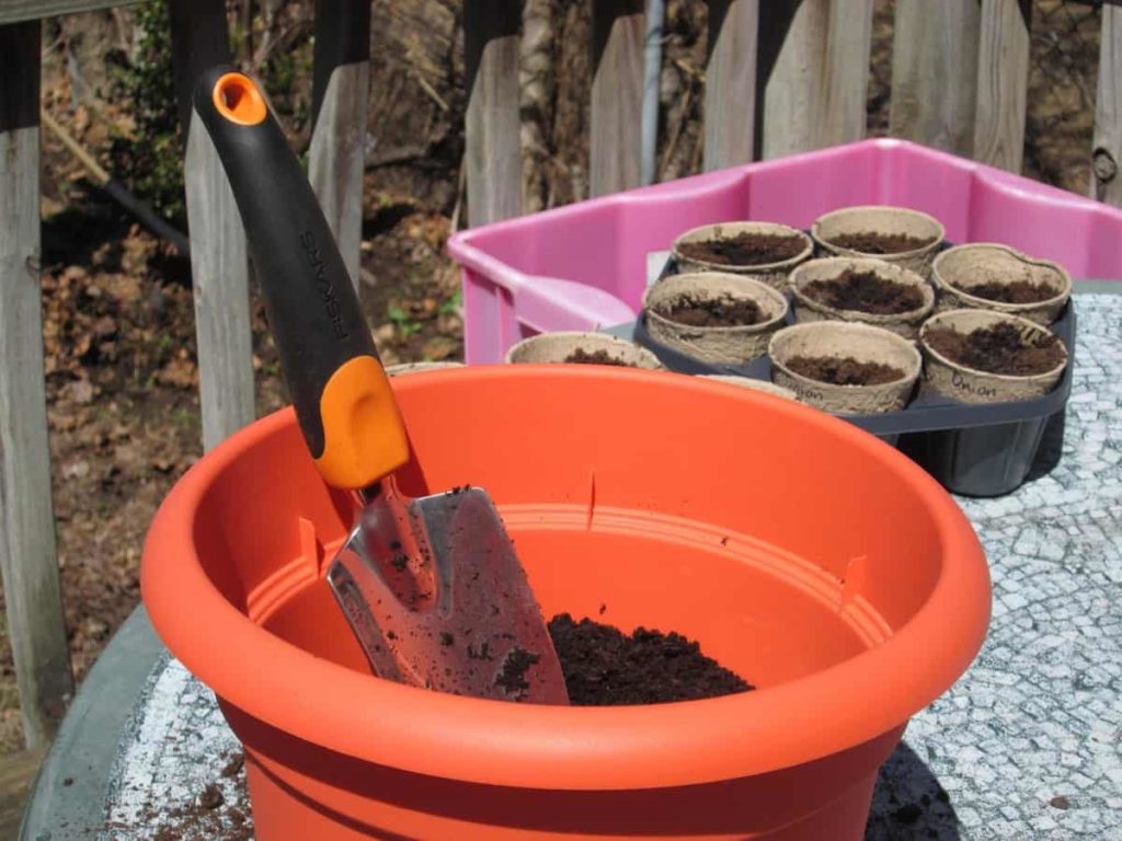 Select a potting soil 