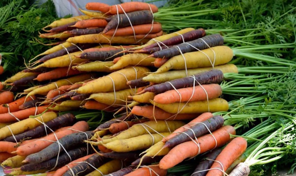 Carrot market