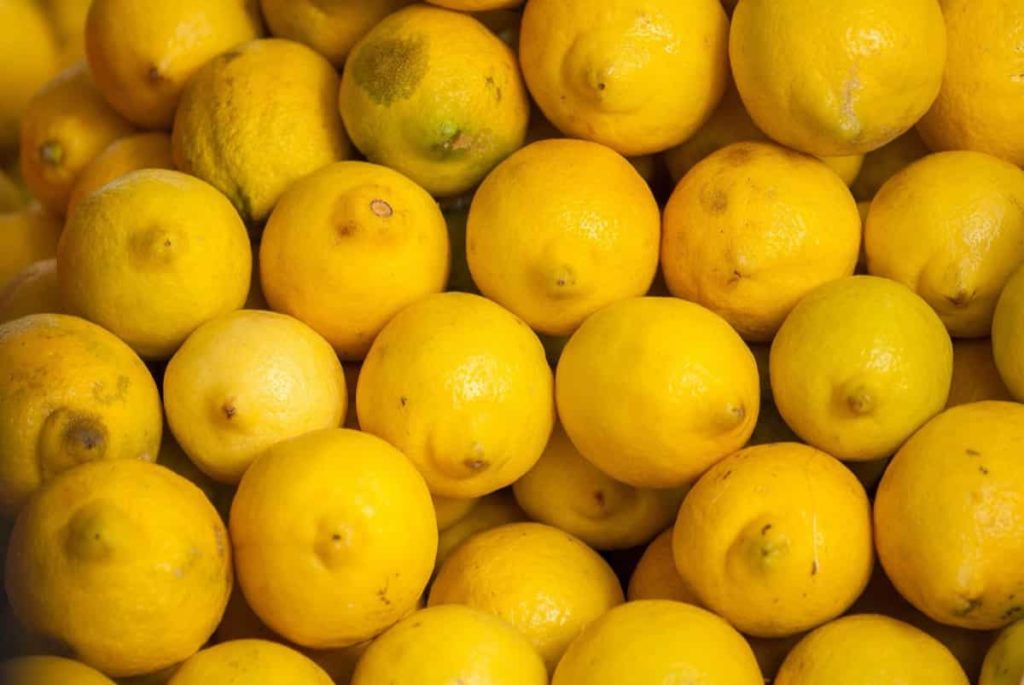 Lemon Harvest