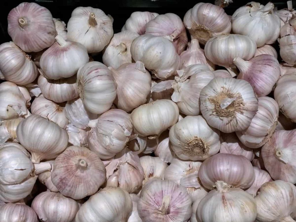 Garlic Market