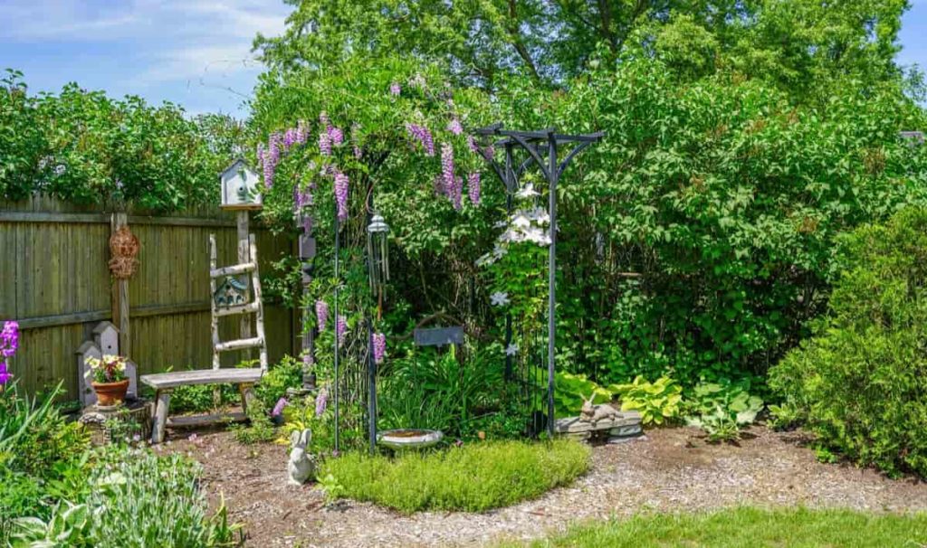 How to start a home garden in Connecticut (CT) from scratch
