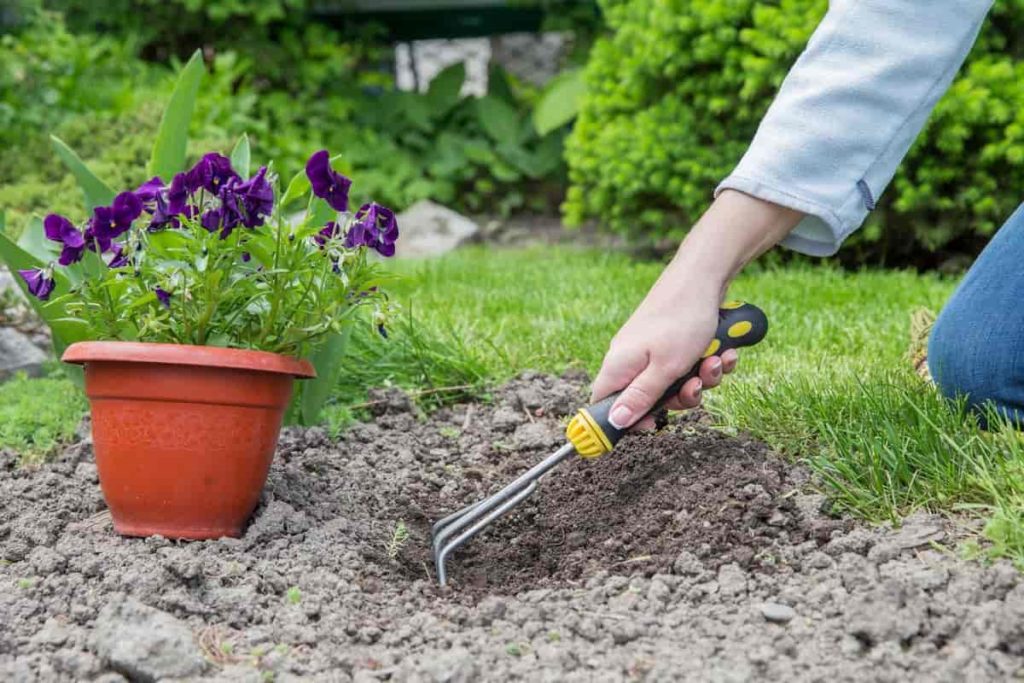 Soil preparation for home gardening