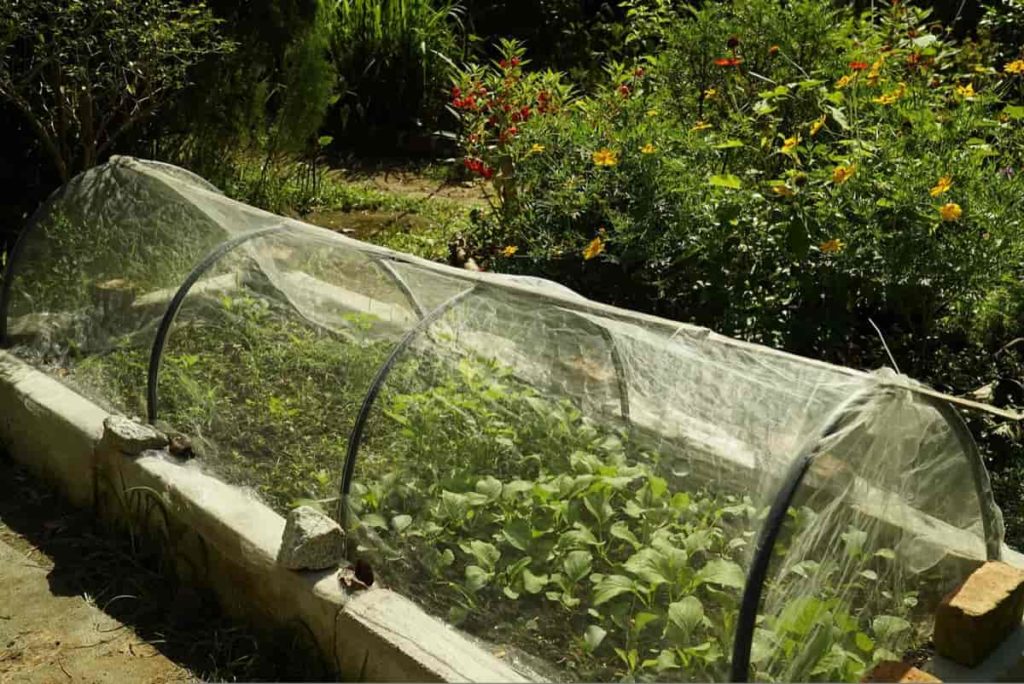 Shade net gardening