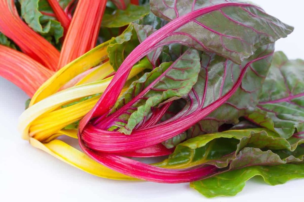 How to Grow Swiss Chard from Seed to Harvest