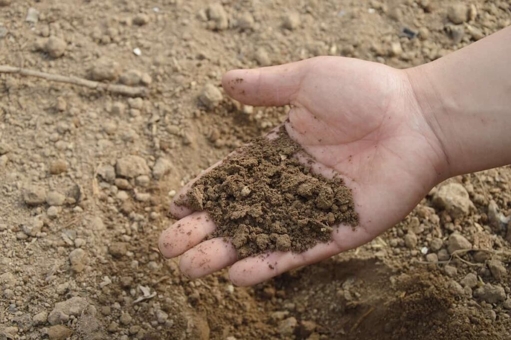 How to Add Nitrogen and Calcium to Your Garden Soil