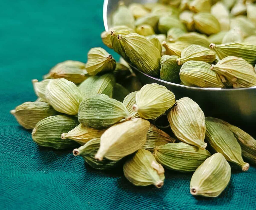 How to Grow Cardamom (Elaichi) from Seeds at Home