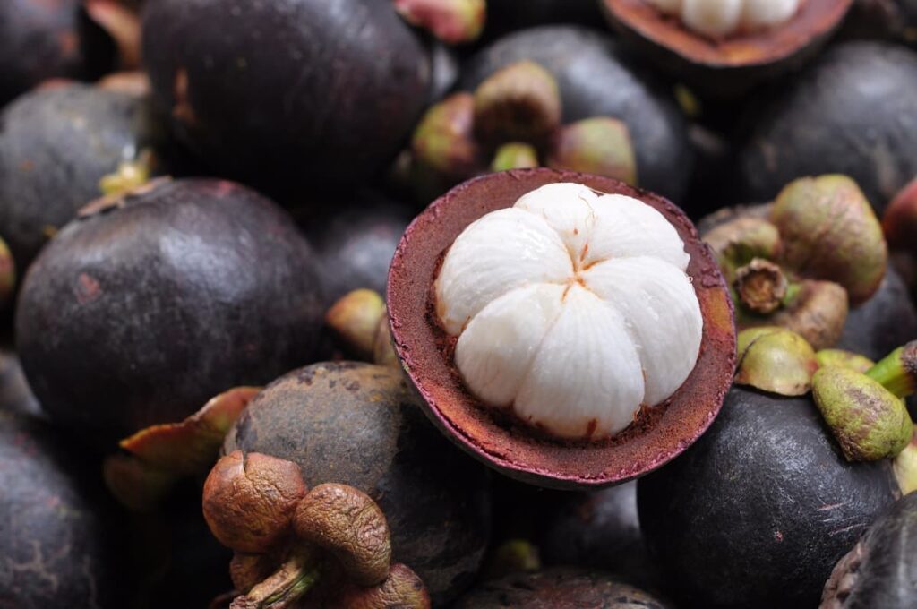 How to Grow Mangosteen Fruit from Seed to Harvest