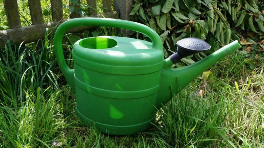 Garden Water Gun
