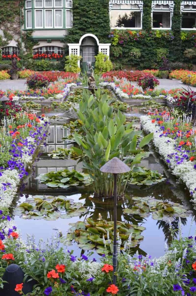 Beautiful Water Garden