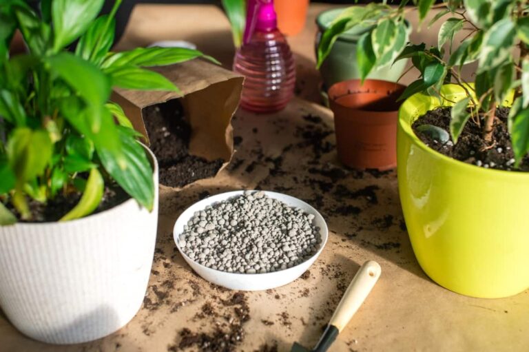 Optimizing Growth: A Guide to Applying NPK Fertilizer for Potted Plants
