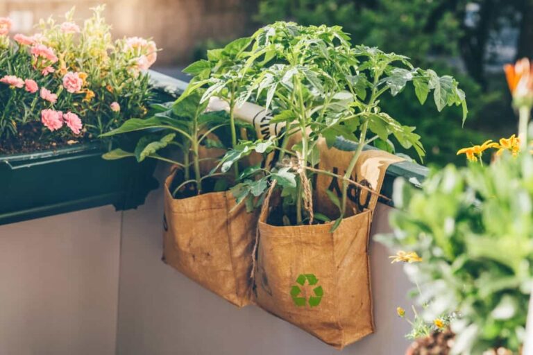Maximize Your Space: Ultimate Guide to Balcony Gardening with Grow Bags