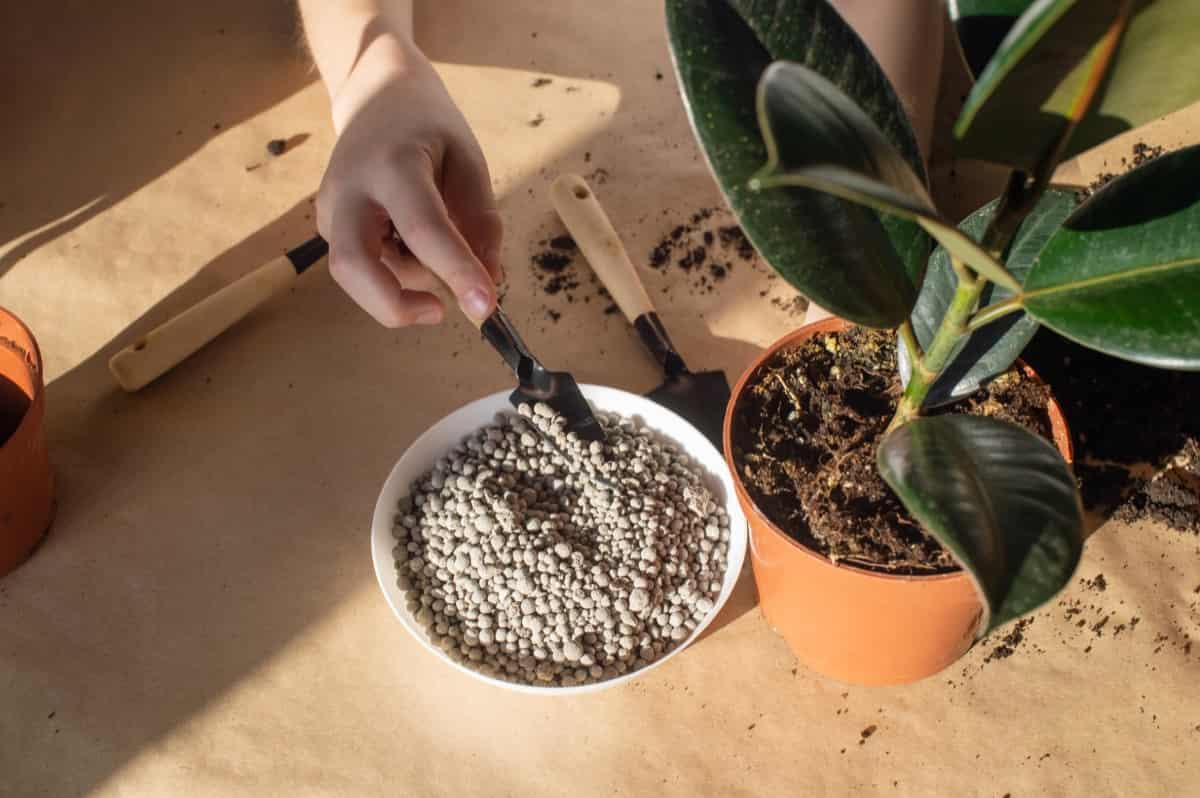 Fertilizer for indoor pots
