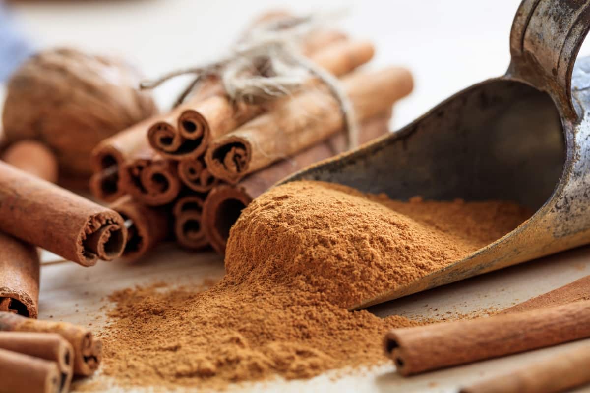 Benefits of Cinnamon for Plants