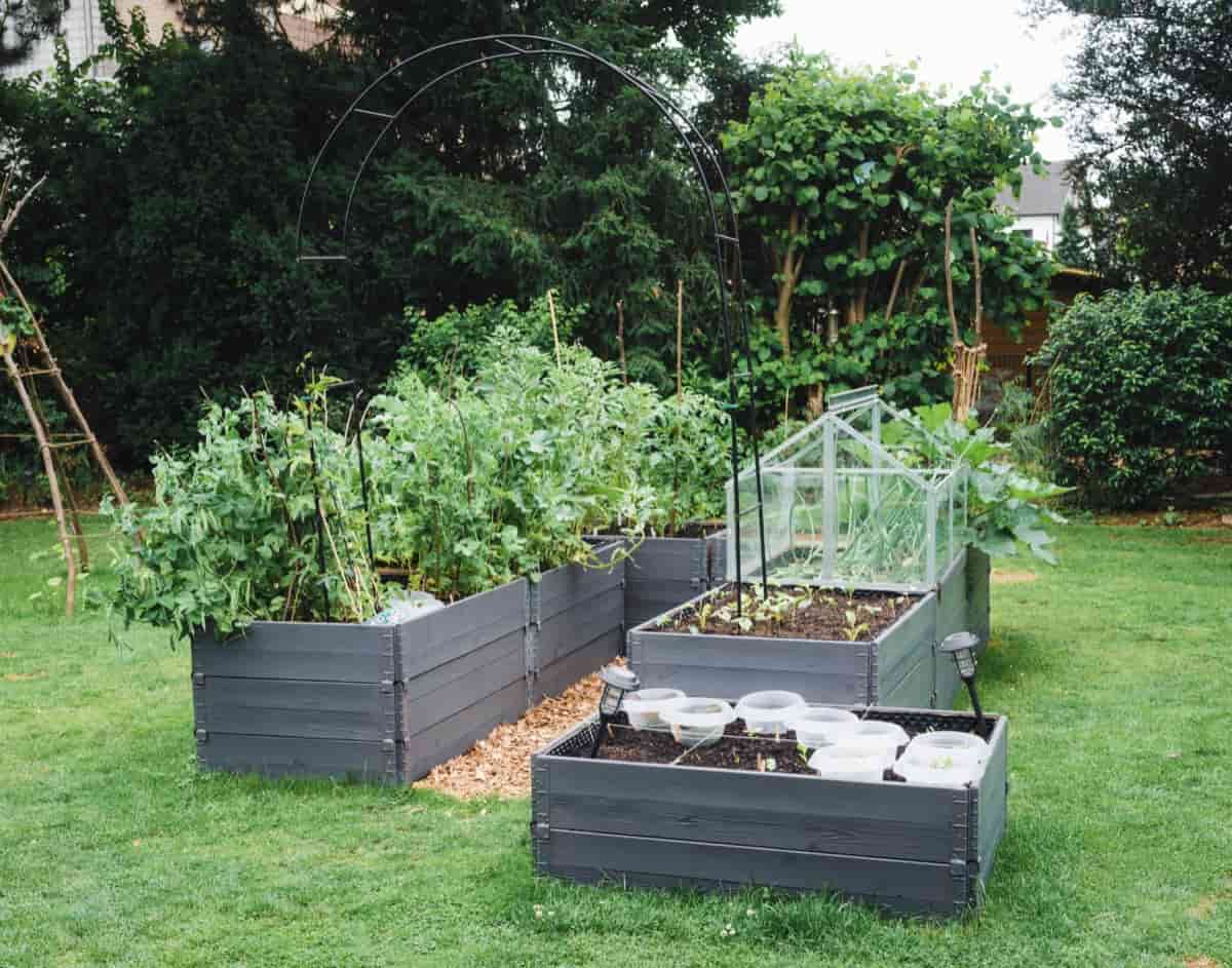 Raised Beds for Home Garden
