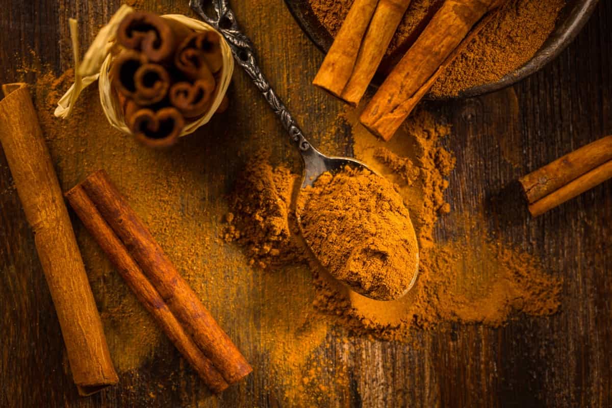 Best DIY Homemade Rooting Hormone Ideas: Cinnamon