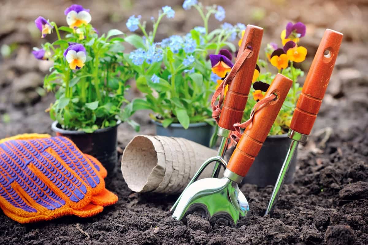 Essential tools for home gardening