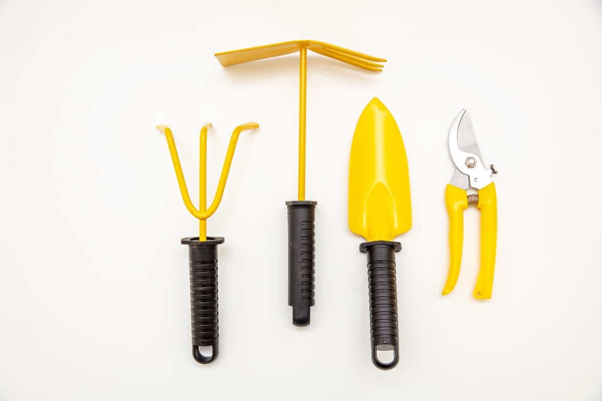 Garden Cutter and Other Tools