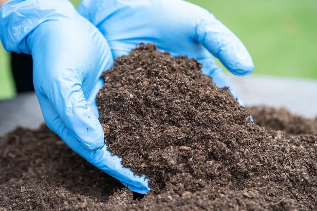 Soil with Organic Matter