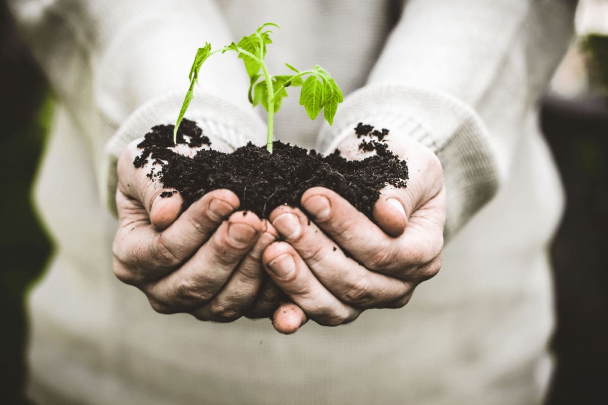 Biochar to Enhance Soil Fertility and Water Retention in Home Gardens