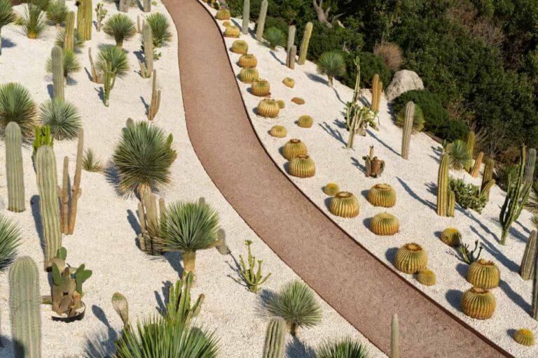 Eco Elegance: The Guide to Designing a Drought-Tolerant Landscape