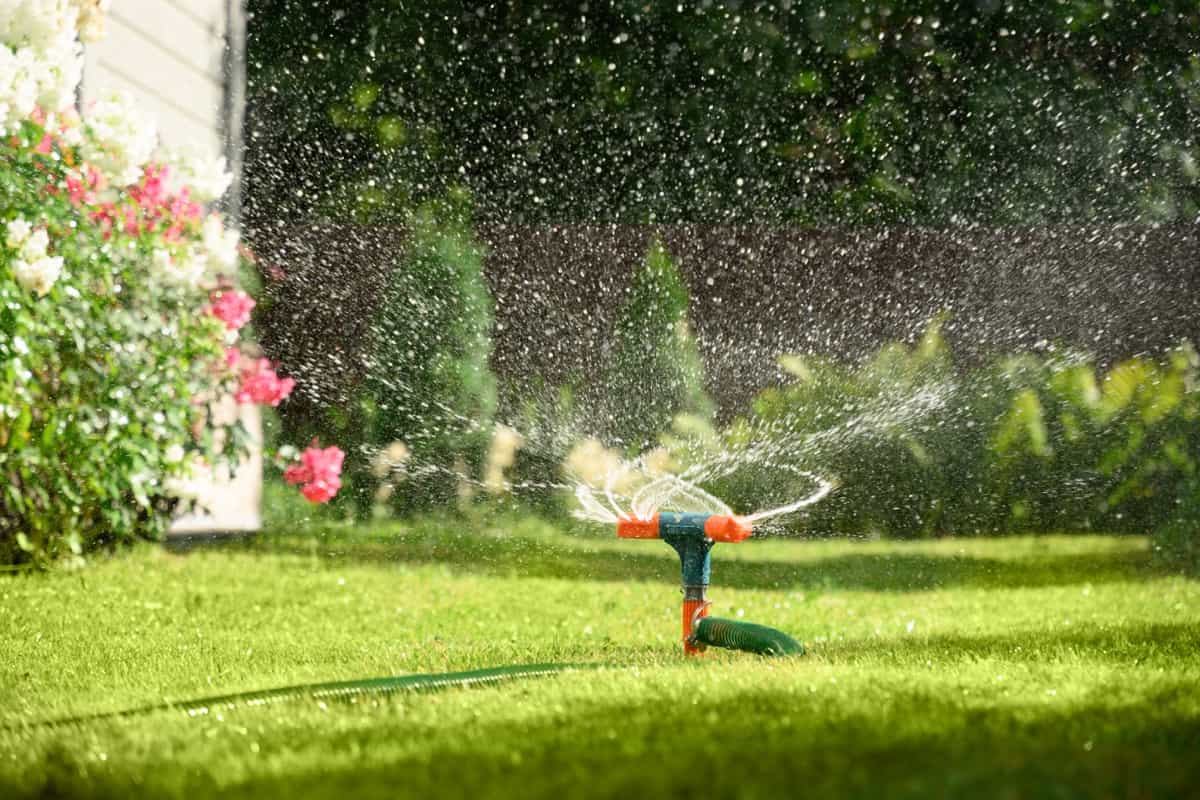 Watering garden with a hose at heat summer