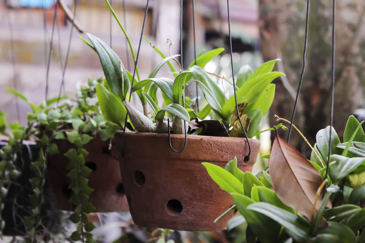 Hanging Garden Containers