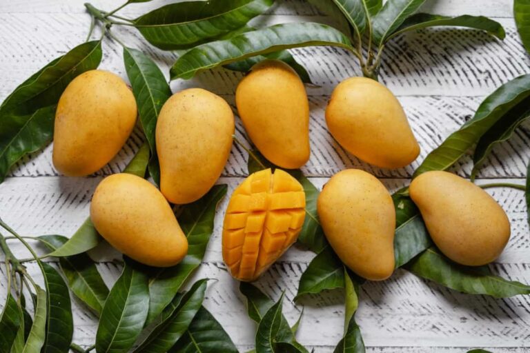How to Get Bigger Mango Fruits: Increase Mango Size with Fruit Size Management