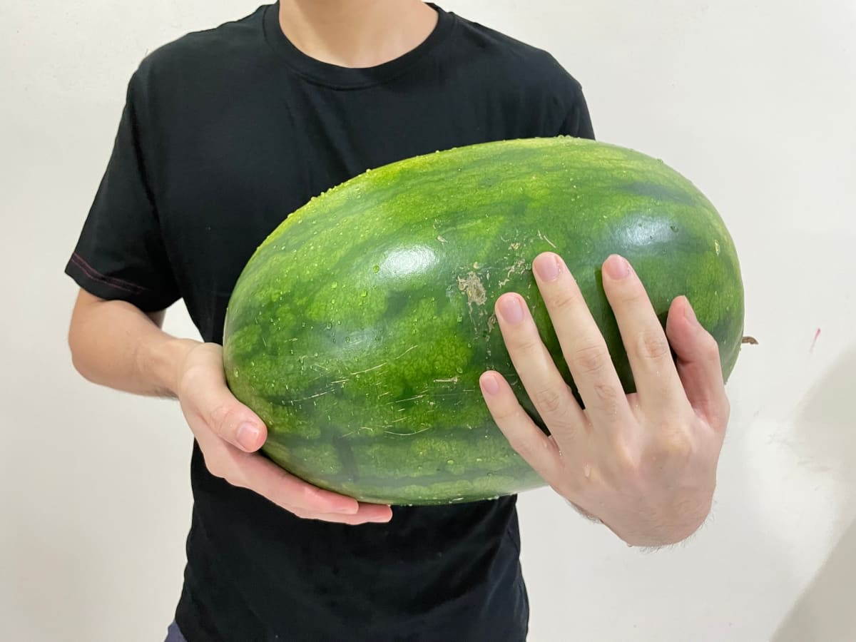 How to Increase Watermelon Fruit Size
