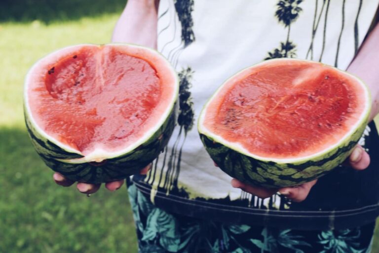 How to Increase Watermelon Fruit Size: Management for Getting Bigger Watermelons