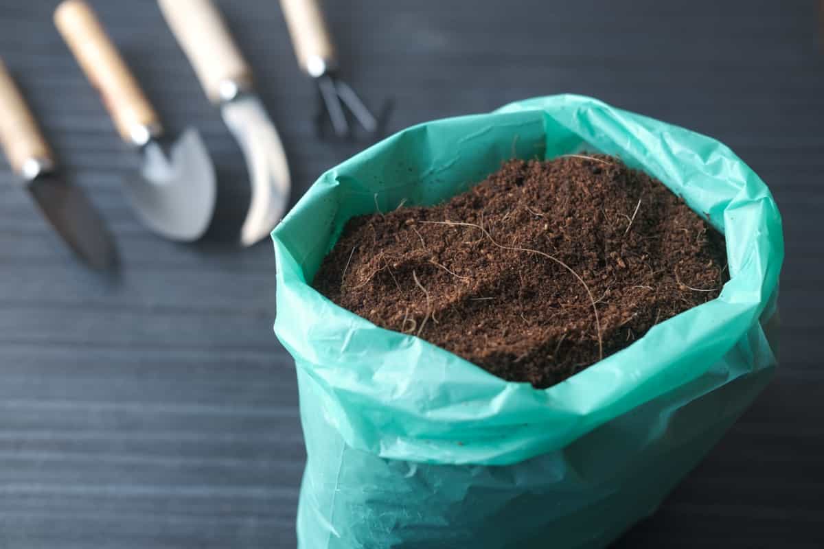 coco peat for indoor plants