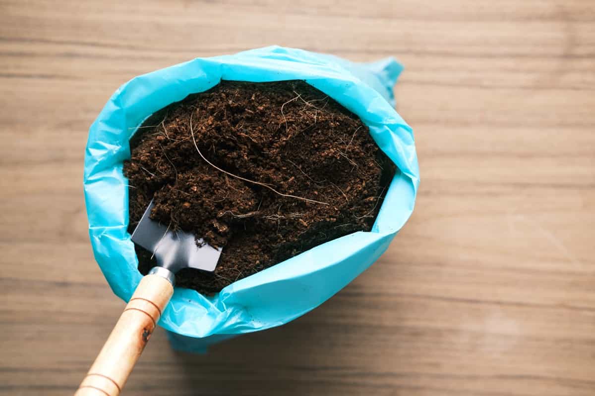 coco peat for home gardening