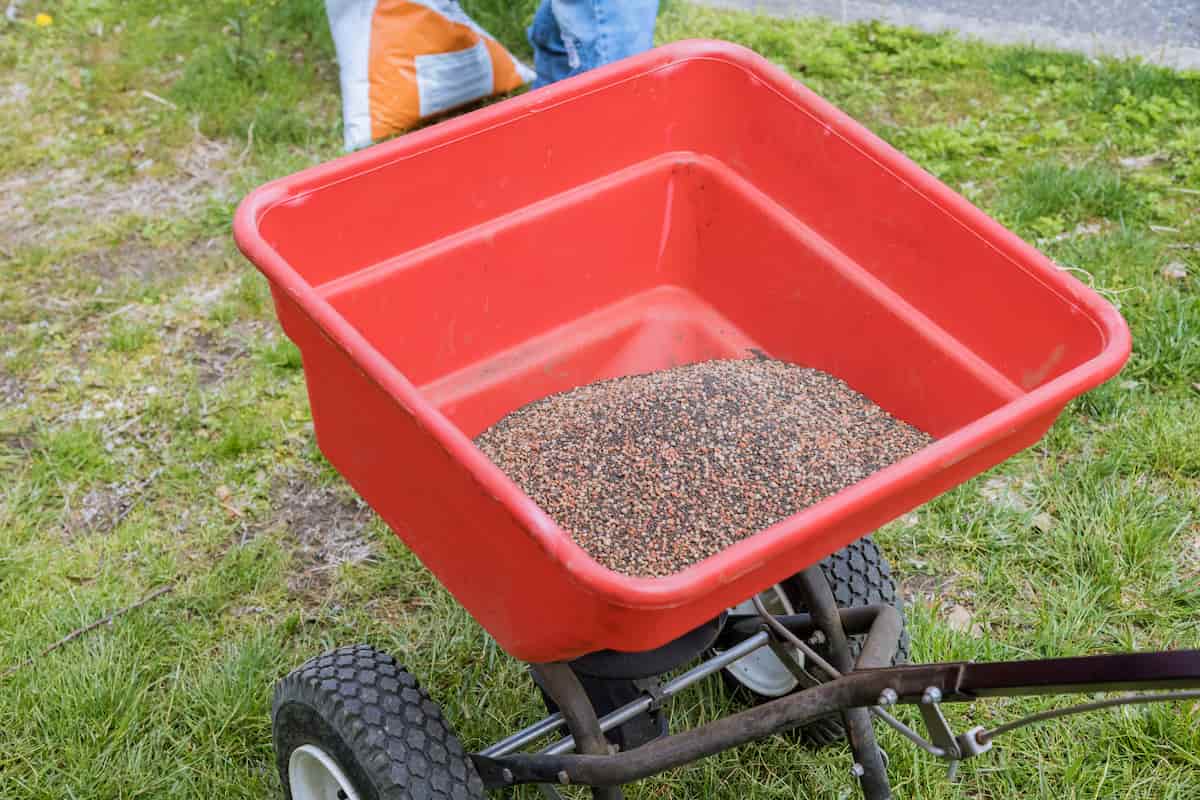 Sowing Lawn Grass Seeds