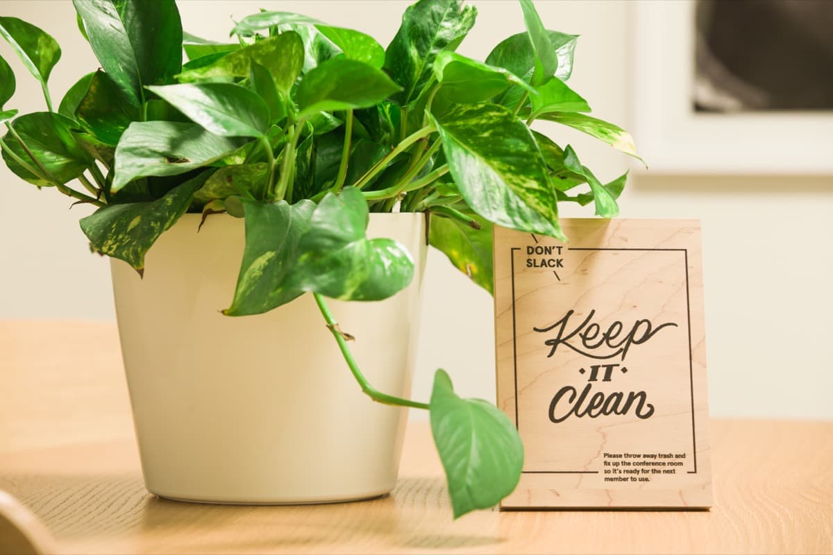 How to Propagate Pothos From Leaf Cuttings