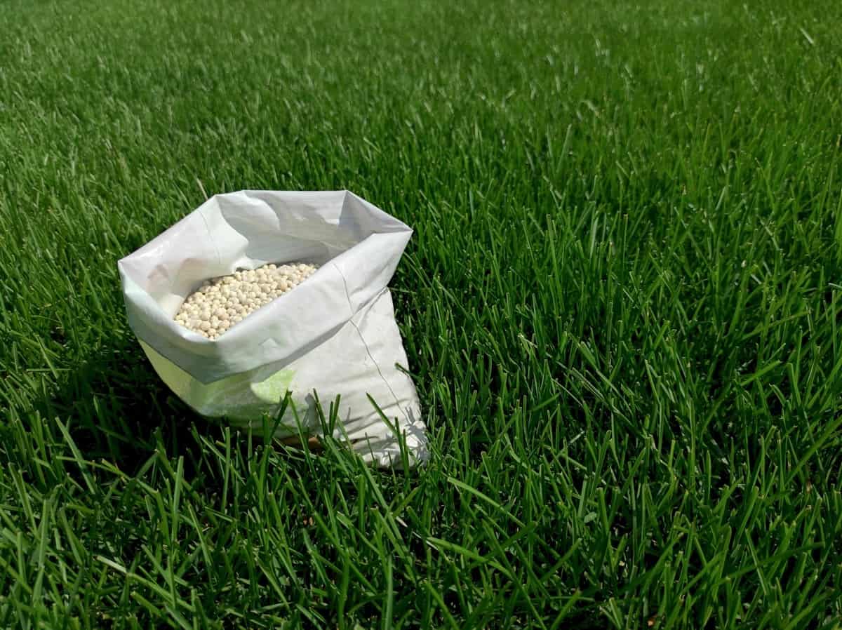 Fertilizer for grass