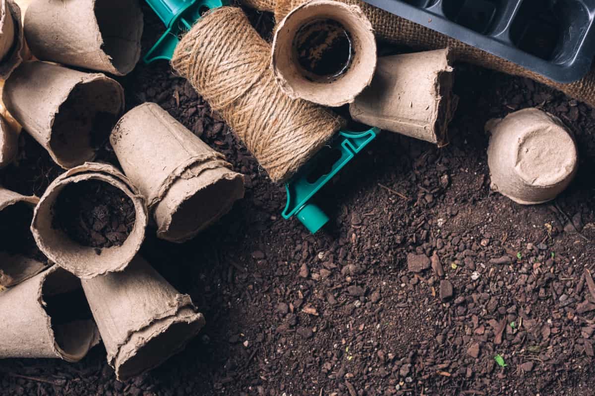 Biodegradable Pots for Home Gardening