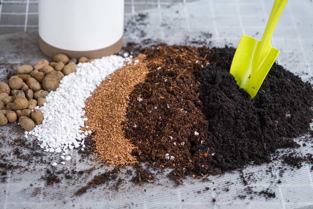 Ingredients for the soil of home potted plants