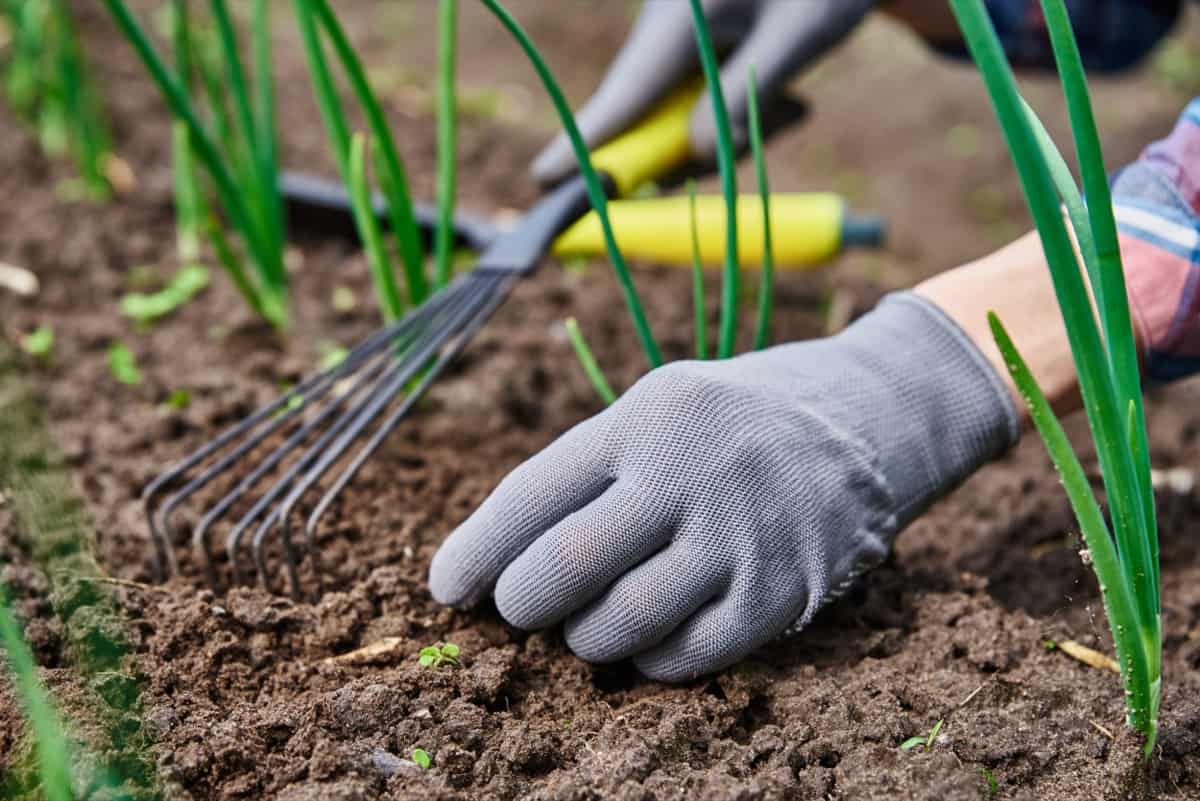 Home Garden Soil Management