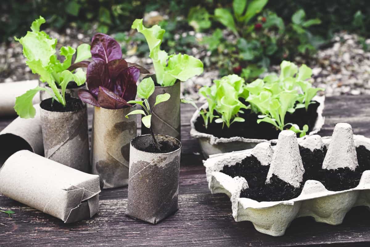 Eco Friendly Garden Pots