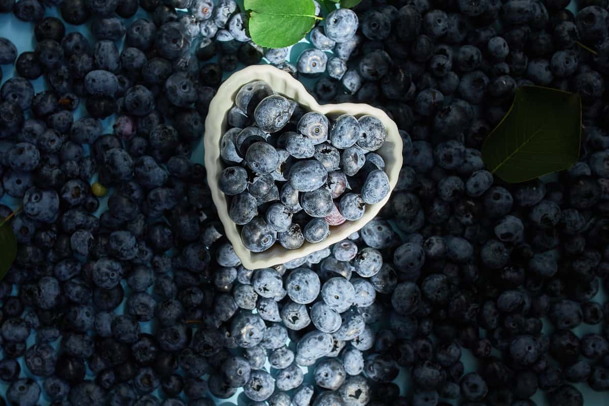 Freezed Blueberries