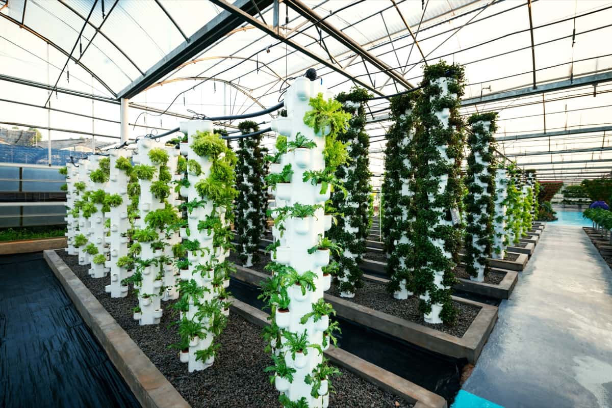 Vertical Farming with Tower Farms in Italy