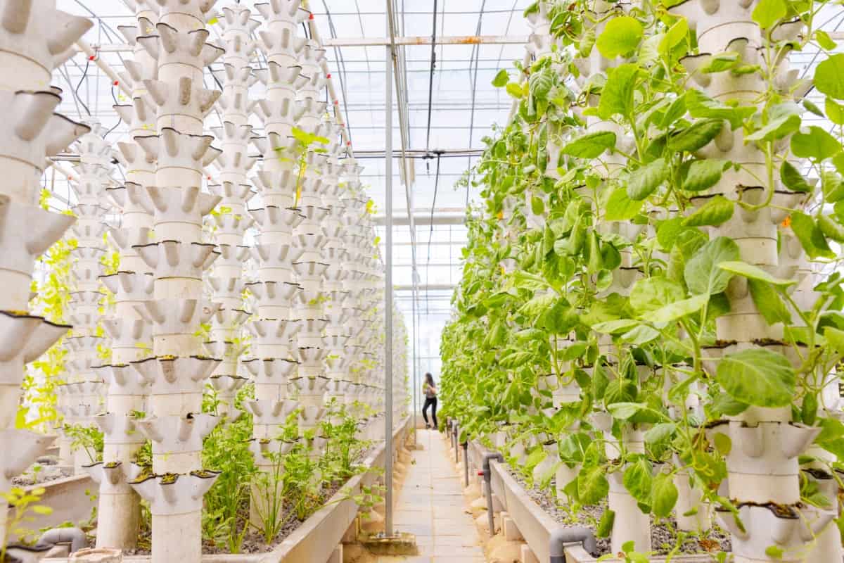 Vertical Tower Farming in Portugal  
