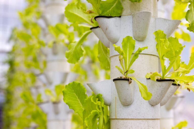 Vertical Tower Farming in Portugal: Sustainable Agriculture in Portugal Urban Areas  